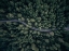 Picture of FROM ABOVE