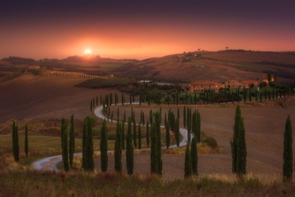 Picture of TUSCANY