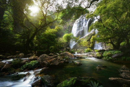 Picture of MOUNTAIN STREAM