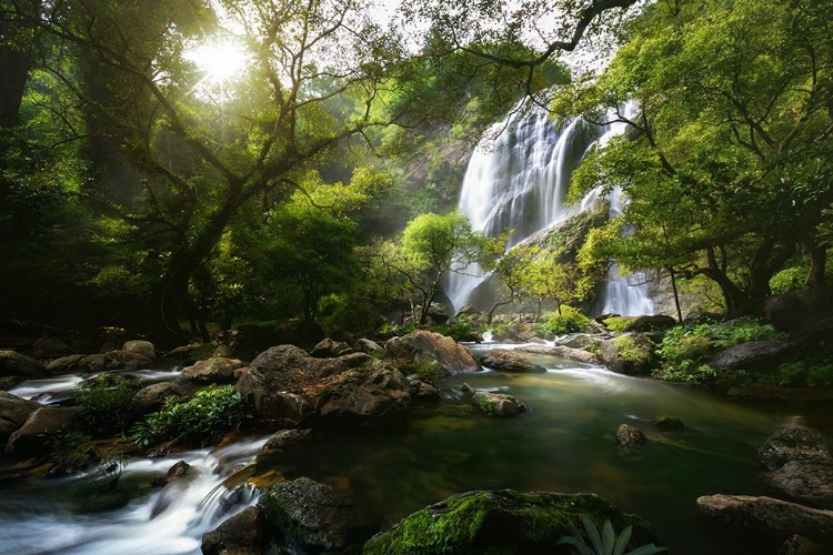 Picture of MOUNTAIN STREAM