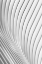 Picture of CALATRAVA LINES