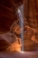 Picture of THE LIGHT BEAM