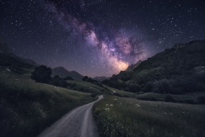 Picture of PATH TO THE STARS