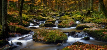 Picture of AUTUMN WATERS