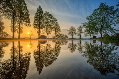 Picture of MOUNT FUJI REFLECTED IN LAKE -JAPAN