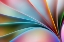 Picture of COLORS