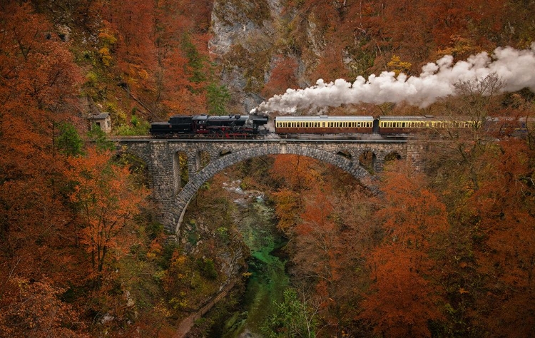 Picture of MUSEUM TRAIN