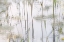 Picture of LILY LEAVES