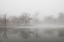 Picture of UNTITLED