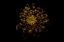Picture of CHRYSANTHEMUM