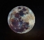 Picture of SUPERLUNA
