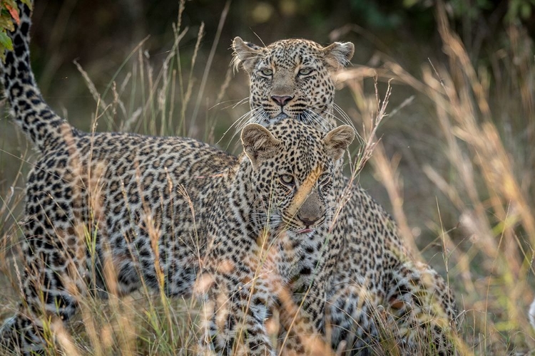 Picture of MOTHER AND DAUGHTER