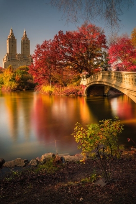 Picture of FALL IN CENTRAL PARK