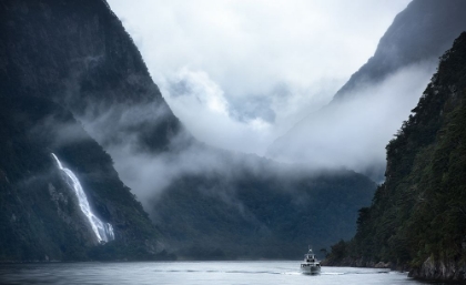 Picture of MILFORD SOUND CRUISE