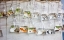 Picture of THE WALL OF FISH
