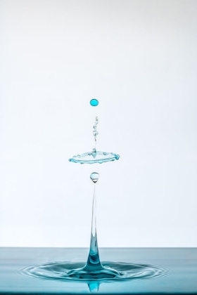 Picture of DROP
