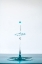 Picture of DROP