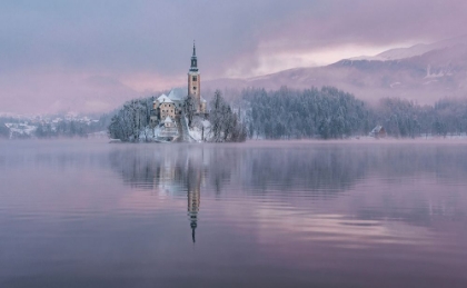 Picture of FROZEN FAIRYTALE