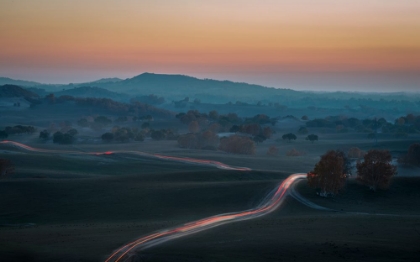 Picture of PRAIRIE DUSK