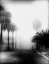 Picture of FOG