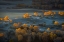 Picture of PRAIRIE LIGHT