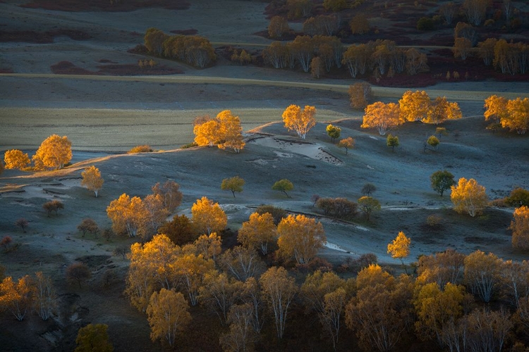 Picture of PRAIRIE LIGHT