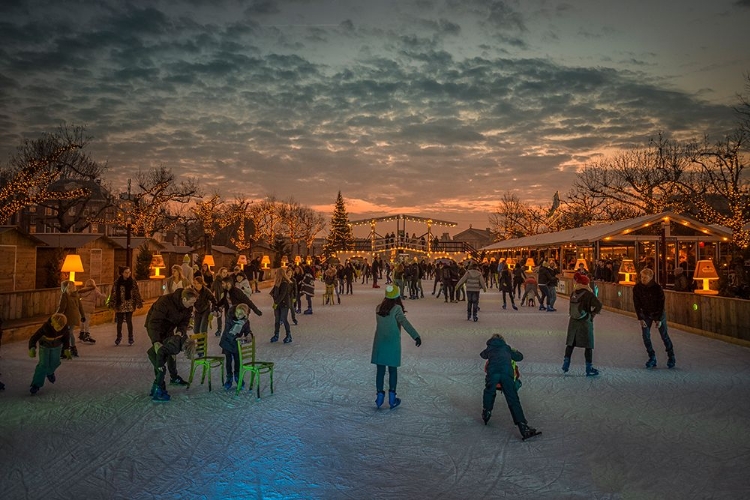 Picture of AMSTERDAM WINTER WONDER LAND