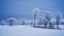Picture of WINTERLAND