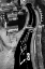 Picture of WHITE CAR ON THE TRACK