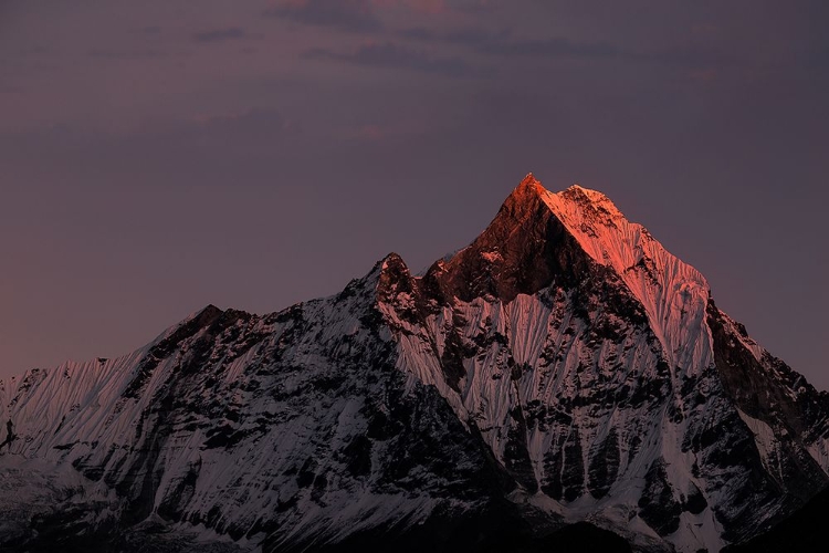 Picture of MACHHAPUCHHARE. NEPAL. ANNAPURNAS.