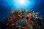 Picture of APNEA