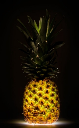 Picture of PINEAPPLE