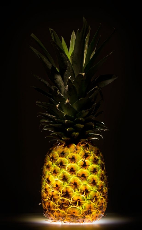 Picture of PINEAPPLE