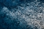 Picture of MOODY BLUE