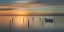 Picture of SLEEP TIME DURING SUNSET .........