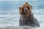 Picture of SHAKING - KAMCHATKA-RUSSIA