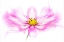 Picture of BREEZE