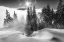 Picture of A WINTER TALE !