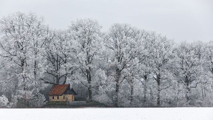 Picture of CHAPEL AND RIME