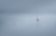 Picture of THE LONESOME BOATMAN