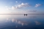 Picture of RIPPLES