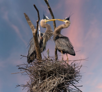 Picture of HAPPY FAMILY TRIO