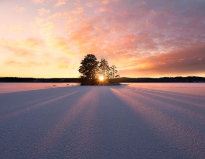 Picture of SUN KISSED