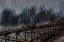 Picture of NYC 6