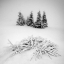Picture of WINTER SCENERY