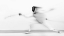 Picture of FENCING