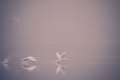 Picture of FOGGY TAKEOFF