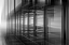 Picture of LINES AND PATTERNS