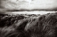 Picture of DUNES OF GRASS