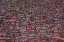 Picture of LARUNG GAR